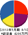 シーテック 貸借対照表 2012年5月期 シーテック 貸借対照表 2012年5月期