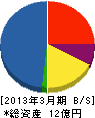 丸栄建設 貸借対照表 2013年3月期 丸栄建設 貸借対照表 2013年3月期