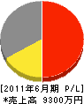 田川電工 損益計算書 2011年6月期 田川電工 損益計算書 2011年6月期