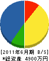 明彩工業 貸借対照表 2011年6月期 明彩工業 貸借対照表 2011年6月期