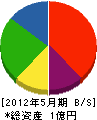 白清 貸借対照表 2012年5月期 白清 貸借対照表 2012年5月期