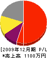 埼光園 損益計算書 2009年12月期 埼光園 損益計算書 2009年12月期