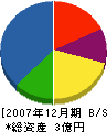 デクスキューブ 貸借対照表 2007年12月期 デクスキューブ 貸借対照表 2007年12月期