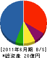 日装 貸借対照表 2011年6月期 日装 貸借対照表 2011年6月期