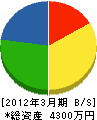 東京ウオール工事 貸借対照表 2012年3月期 東京ウオール工事 貸借対照表 2012年3月期
