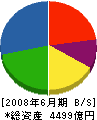矢崎総業 貸借対照表 2008年6月期 矢崎総業 貸借対照表 2008年6月期