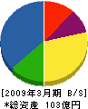 ダイケングループ 貸借対照表 2009年3月期 ダイケングループ 貸借対照表 2009年3月期