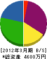 東洋環境開発 貸借対照表 2012年3月期 東洋環境開発 貸借対照表 2012年3月期