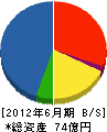 松下産業 貸借対照表 2012年6月期 松下産業 貸借対照表 2012年6月期