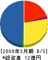 テクネット 貸借対照表 2009年3月期 テクネット 貸借対照表 2009年3月期