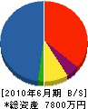 渡辺土木 貸借対照表 2010年6月期 渡辺土木 貸借対照表 2010年6月期