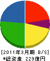 日成ビルド工業 貸借対照表 2011年3月期 日成ビルド工業 貸借対照表 2011年3月期