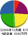 NAGAKIYO 貸借対照表 2008年12月期 NAGAKIYO 貸借対照表 2008年12月期