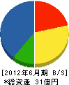若生工業 貸借対照表 2012年6月期 若生工業 貸借対照表 2012年6月期