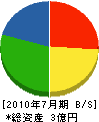 佐野塗工店 貸借対照表 2010年7月期 佐野塗工店 貸借対照表 2010年7月期