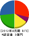 伸電工業 貸借対照表 2012年4月期 伸電工業 貸借対照表 2012年4月期