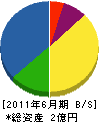 石川 貸借対照表 2011年6月期 石川 貸借対照表 2011年6月期