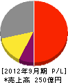 堀川産業 損益計算書 2012年9月期 堀川産業 損益計算書 2012年9月期