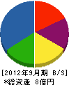 テクノ中央 貸借対照表 2012年9月期 テクノ中央 貸借対照表 2012年9月期