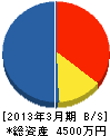 全日本ルミクール・ガラス用フィルム施工(同) 貸借対照表 2013年3月期 全日本ルミクール・ガラス用フィルム施工(同) 貸借対照表 2013年3月期