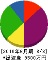 共同土木 貸借対照表 2010年6月期 共同土木 貸借対照表 2010年6月期