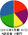 サンエレック 貸借対照表 2012年9月期 サンエレック 貸借対照表 2012年9月期