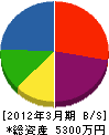 大星建設 貸借対照表 2012年3月期 大星建設 貸借対照表 2012年3月期