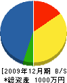 桜組 貸借対照表 2009年12月期 桜組 貸借対照表 2009年12月期