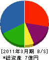 理化 貸借対照表 2011年3月期 理化 貸借対照表 2011年3月期