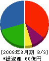 パーキングプロ 貸借対照表 2008年3月期 パーキングプロ 貸借対照表 2008年3月期
