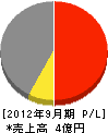 タマル美建興業 損益計算書 2012年9月期 タマル美建興業 損益計算書 2012年9月期