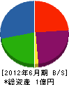 小林建築工業 貸借対照表 2012年6月期 小林建築工業 貸借対照表 2012年6月期