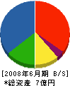 呉光塗装 貸借対照表 2008年6月期 呉光塗装 貸借対照表 2008年6月期