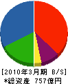 新日軽 貸借対照表 2010年3月期 新日軽 貸借対照表 2010年3月期