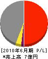 フジコンストラクト 損益計算書 2010年6月期 フジコンストラクト 損益計算書 2010年6月期
