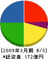 日本住宅パネル工業(同) 貸借対照表 2009年3月期 日本住宅パネル工業(同) 貸借対照表 2009年3月期