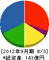 * 貸借対照表 2012年9月期 * 貸借対照表 2012年9月期