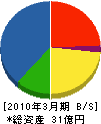 トーヨーマテラン 貸借対照表 2010年3月期 トーヨーマテラン 貸借対照表 2010年3月期