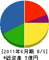 日本道路システム 貸借対照表 2011年6月期 日本道路システム 貸借対照表 2011年6月期