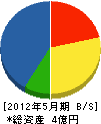 大池建工 貸借対照表 2012年5月期 大池建工 貸借対照表 2012年5月期