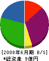 日米アートム 貸借対照表 2008年6月期 日米アートム 貸借対照表 2008年6月期