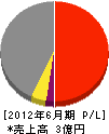 玉新建設 損益計算書 2012年6月期 玉新建設 損益計算書 2012年6月期
