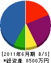 ワタナベ建材土木 貸借対照表 2011年6月期 ワタナベ建材土木 貸借対照表 2011年6月期