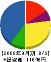 ダイケングループ 貸借対照表 2008年9月期 ダイケングループ 貸借対照表 2008年9月期