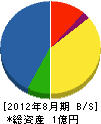 受信サービス 貸借対照表 2012年8月期 受信サービス 貸借対照表 2012年8月期