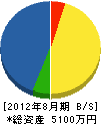 星和建設工業 貸借対照表 2012年8月期 星和建設工業 貸借対照表 2012年8月期