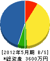 塩谷工業 貸借対照表 2012年5月期 塩谷工業 貸借対照表 2012年5月期