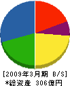東電通 貸借対照表 2009年3月期 東電通 貸借対照表 2009年3月期