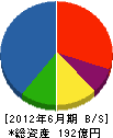 千代田テクノル 貸借対照表 2012年6月期 千代田テクノル 貸借対照表 2012年6月期
