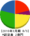 林総業 貸借対照表 2010年3月期 林総業 貸借対照表 2010年3月期